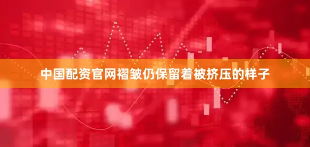 中国配资官网褶皱仍保留着被挤压的样子