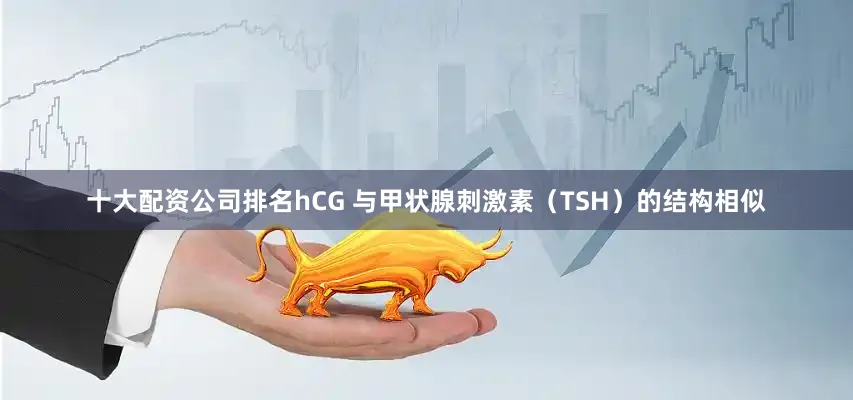 十大配资公司排名hCG 与甲状腺刺激素（TSH）的结构相似